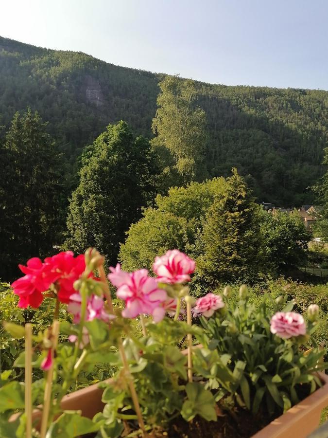 Chez Many, Par Fred Et Henri Bed & Breakfast Montherme Luaran gambar