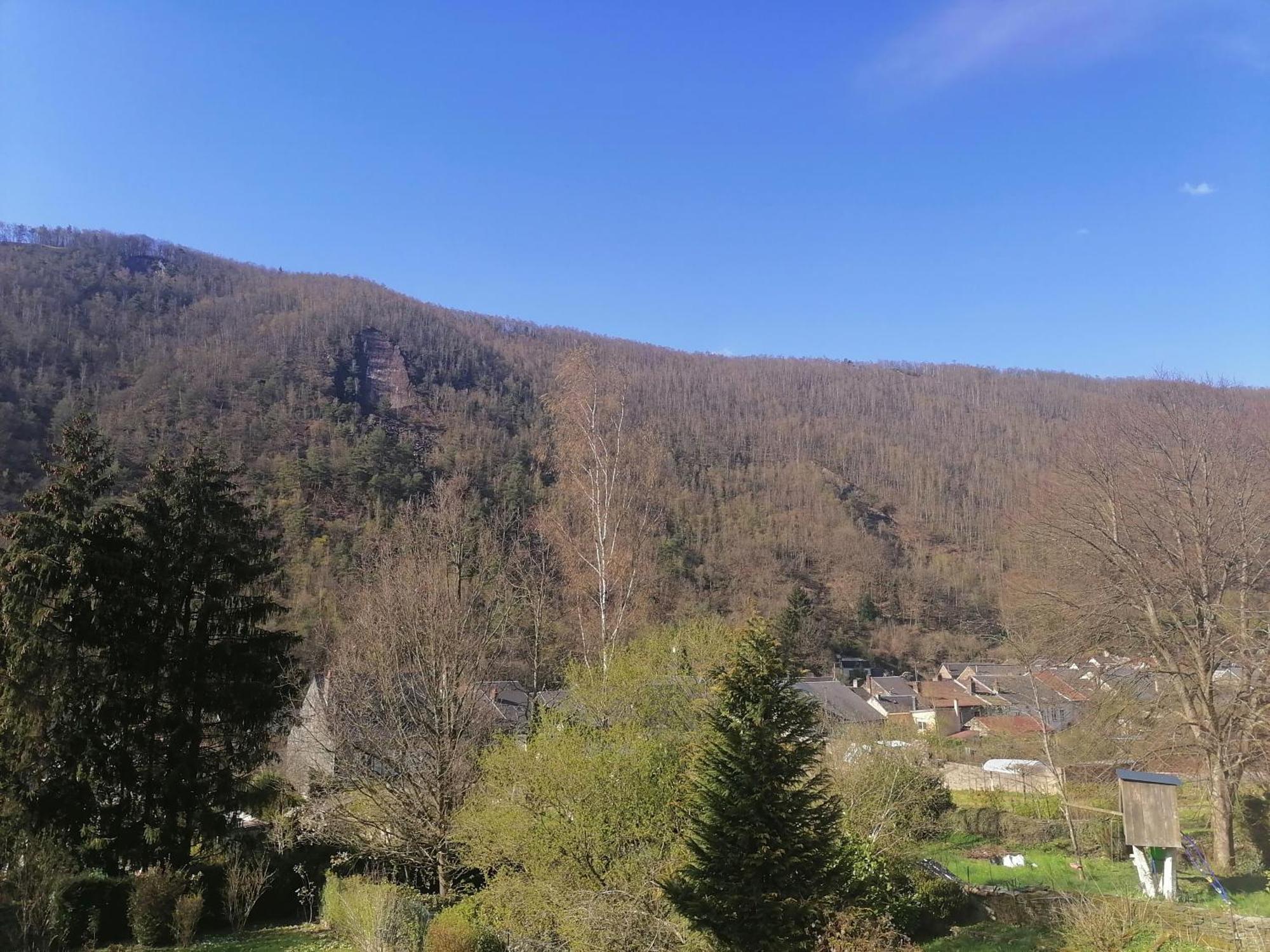 Chez Many, Par Fred Et Henri Bed & Breakfast Montherme Luaran gambar